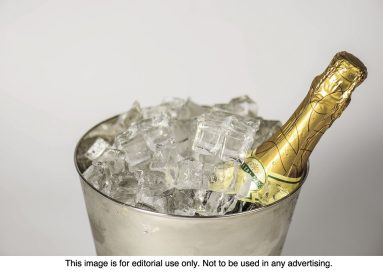 article image - 